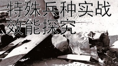 特殊兵种实战效能探究