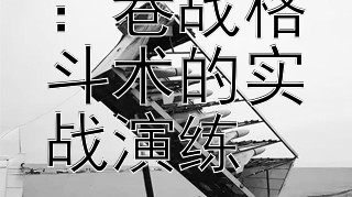 城市迷踪：巷战格斗术的实战演练